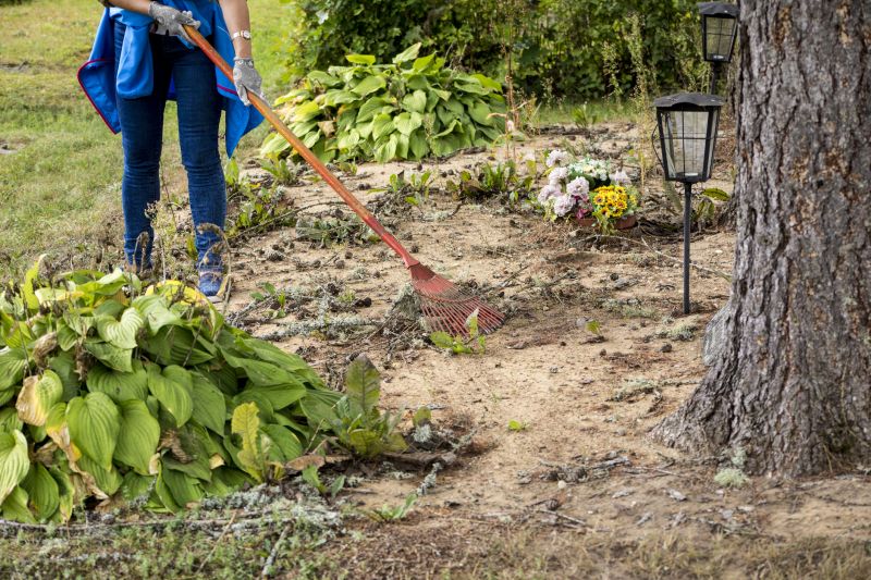 Local Mulch Clearing pros at work