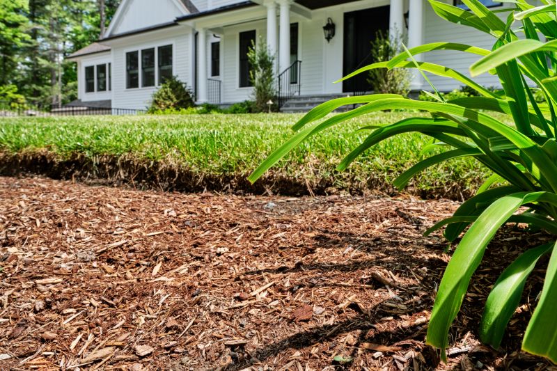 Mulch Clearing