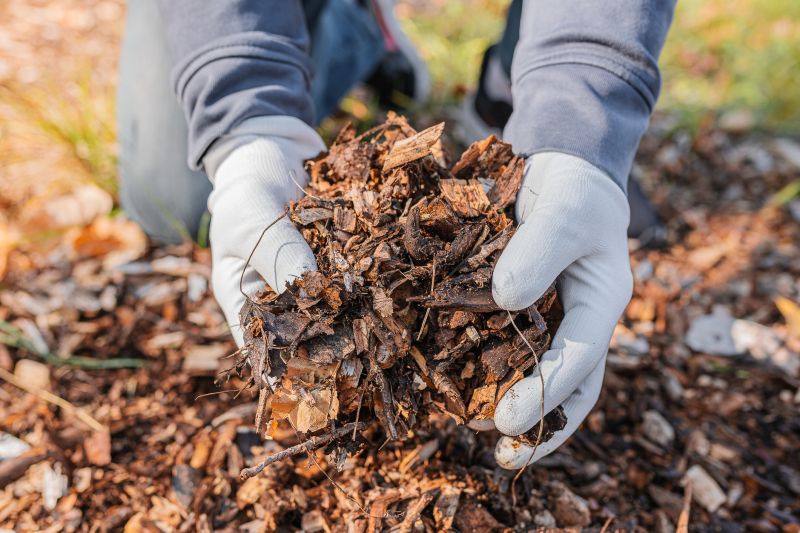Mulch Clearing