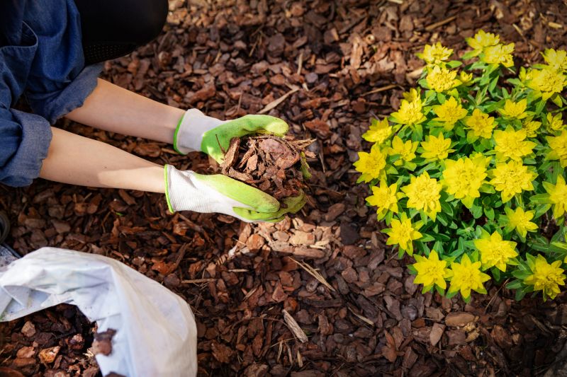 Mulch Clearing