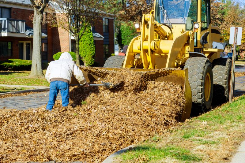 Mulch Clearing